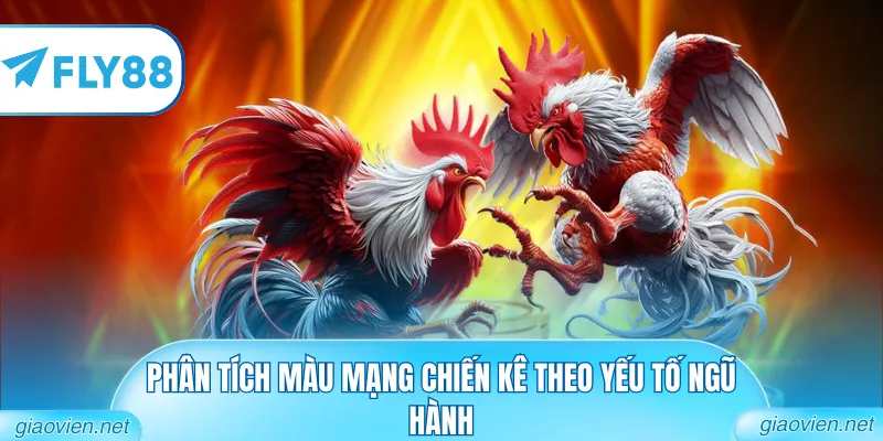 Mẹo Chọn Gà Chọi Hay Từ Những Sư Kê Giàu Kinh Nghiệm Nhất 2026 2 Phân tích màu mạng chiến kê theo yếu tố ngũ hành